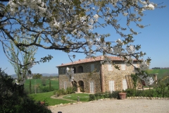Foto 03